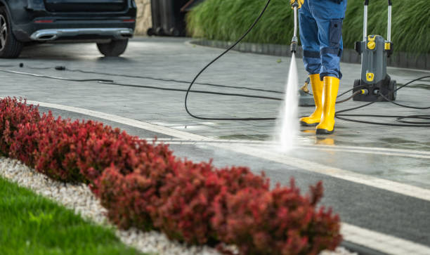Best Driveway Cleaning and Restoration in Walton Hills, OH